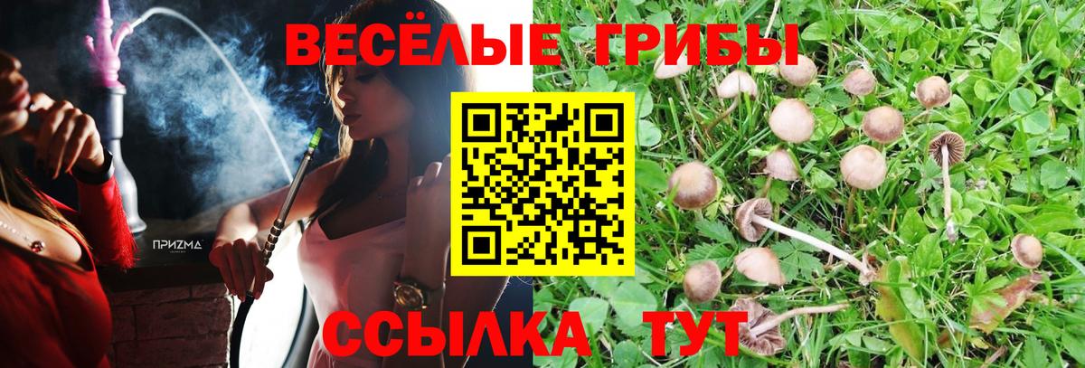 где найти наркотики  Вход с VPN  Елабуга  Галлюциногенные грибы ЛСД 