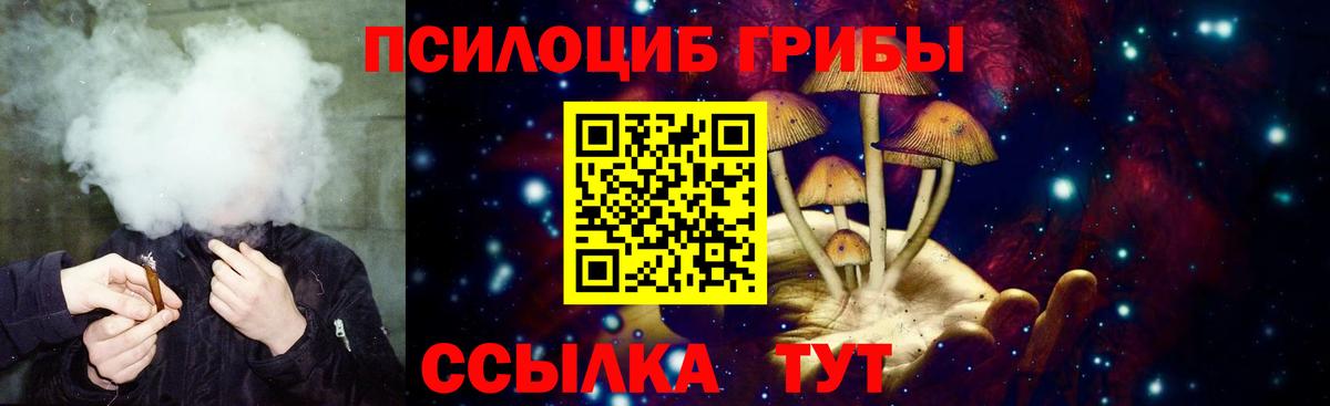 Галлюциногенные грибы ЛСД Елабуга